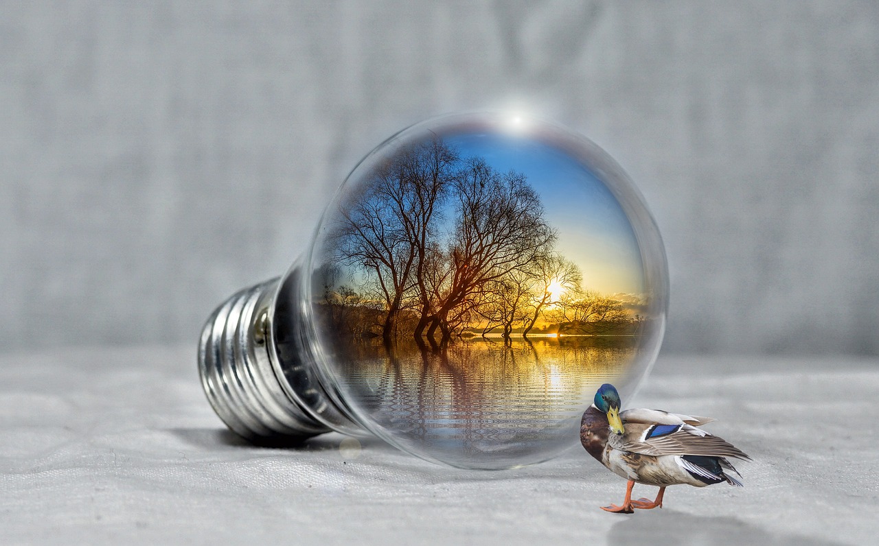 The Role of Environmental Activism in Society